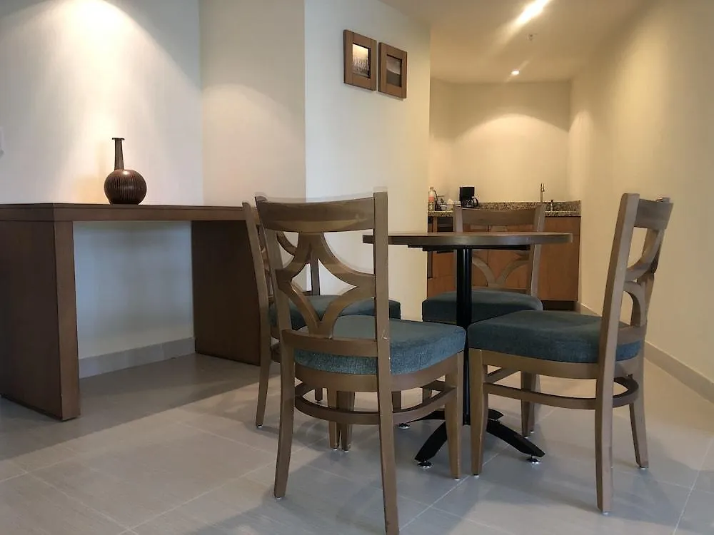 瓜达拉哈拉/博览会希尔顿欢朋酒店 墨西哥